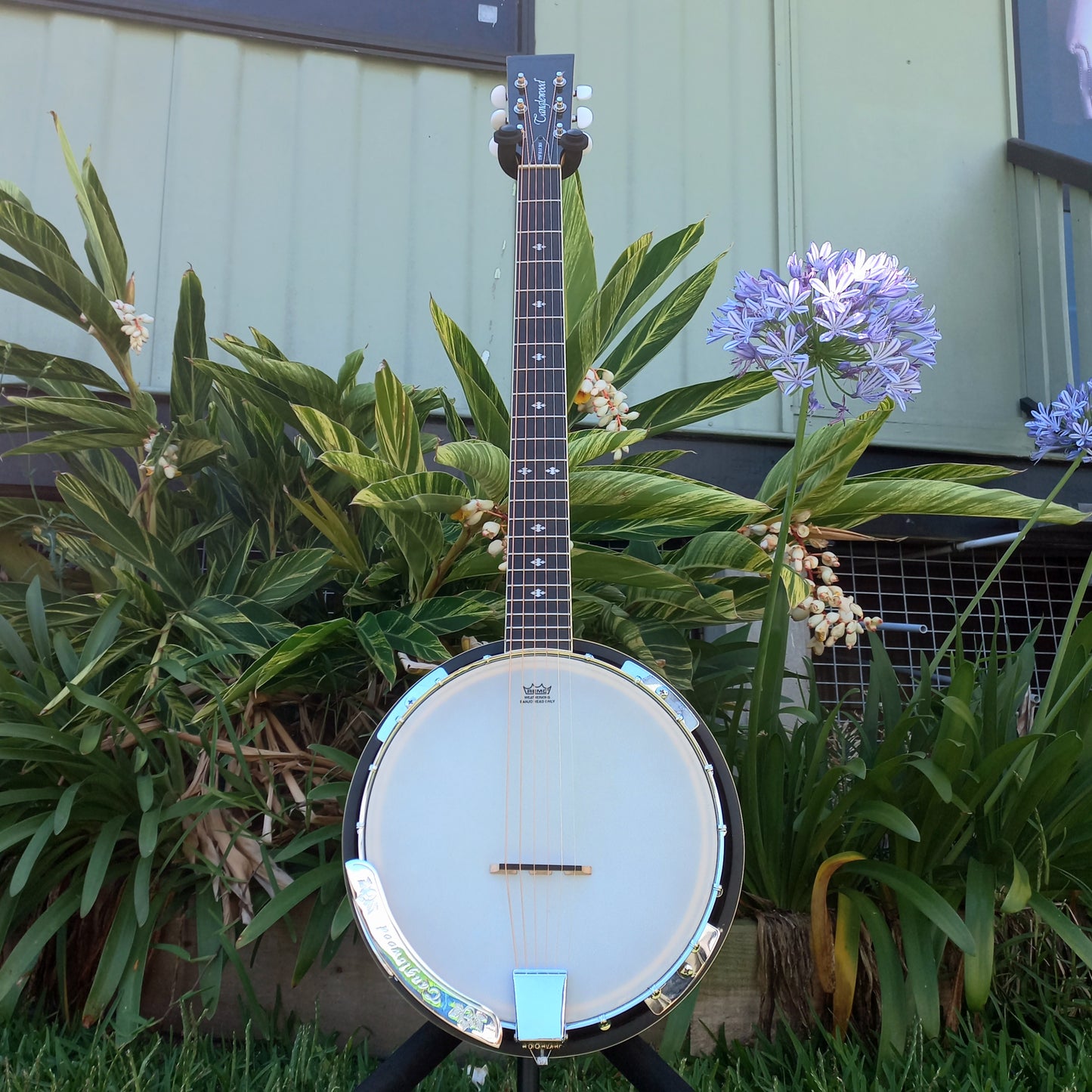 Tanglewood TWB-18-M6 6 String Union Series Banjo