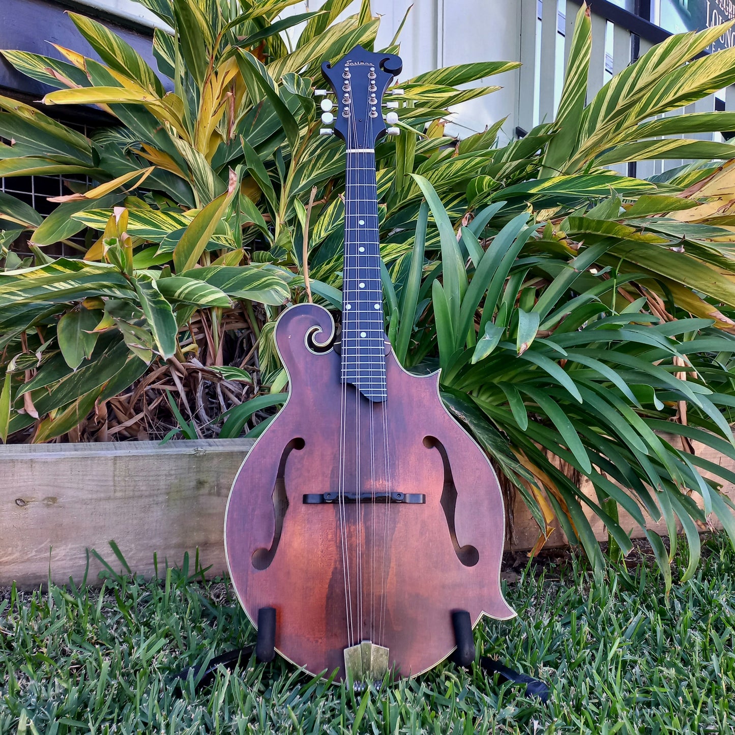 Eastman MDA315 F-Style Mandola