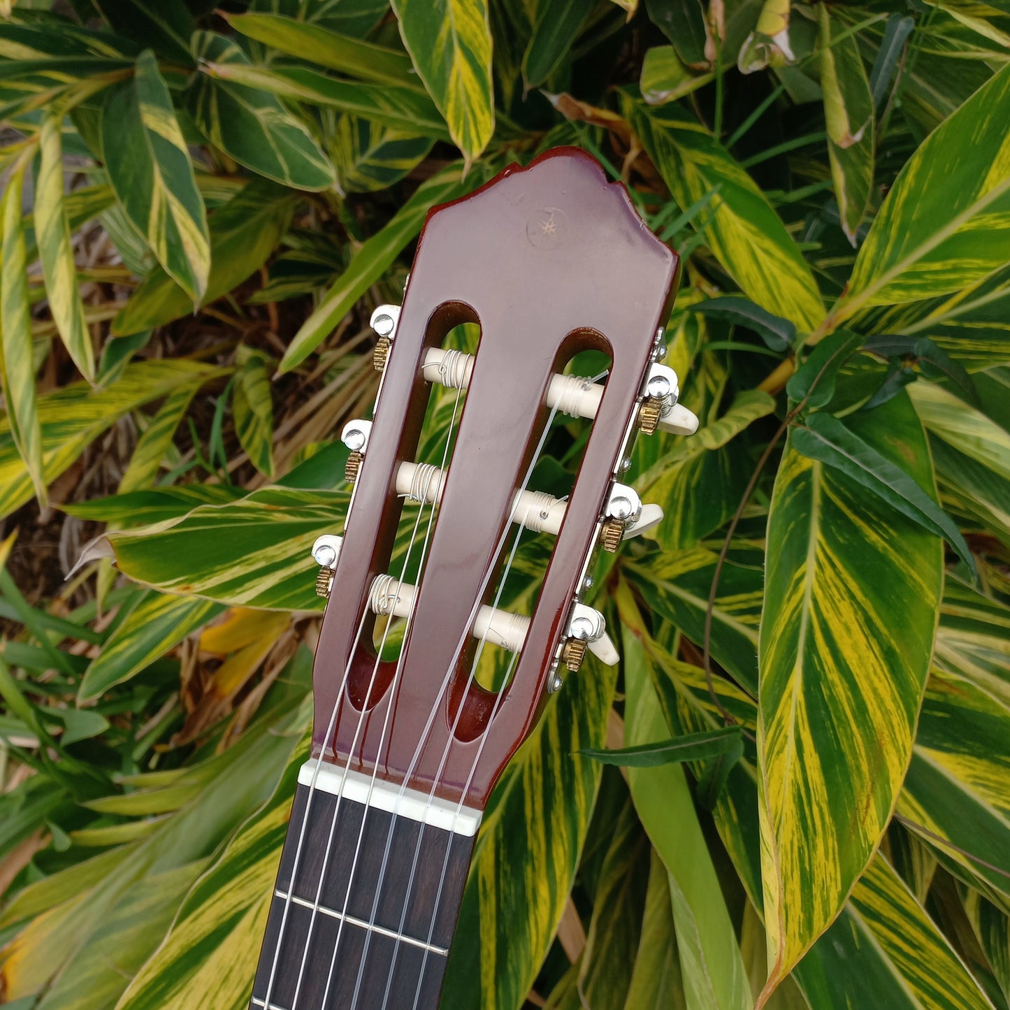 Yamaha C40 Student Classical Nylon String