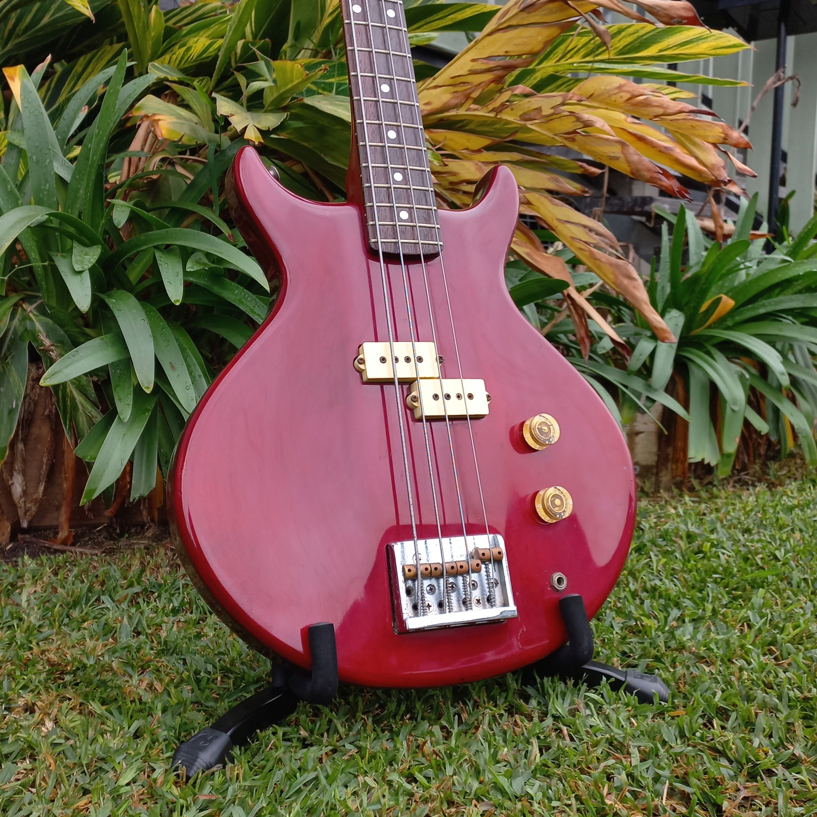 1980's Washburn Wing Series Scavenger Bass – Southside Guitars