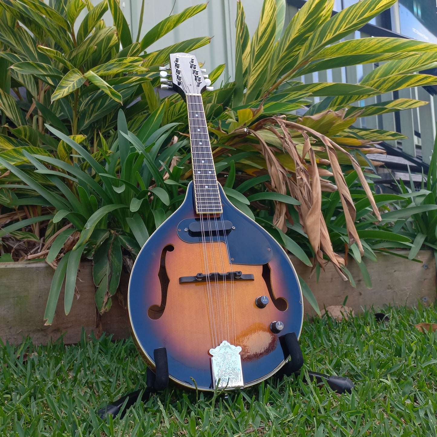 Fender FM-52E Teardrop Mandolin