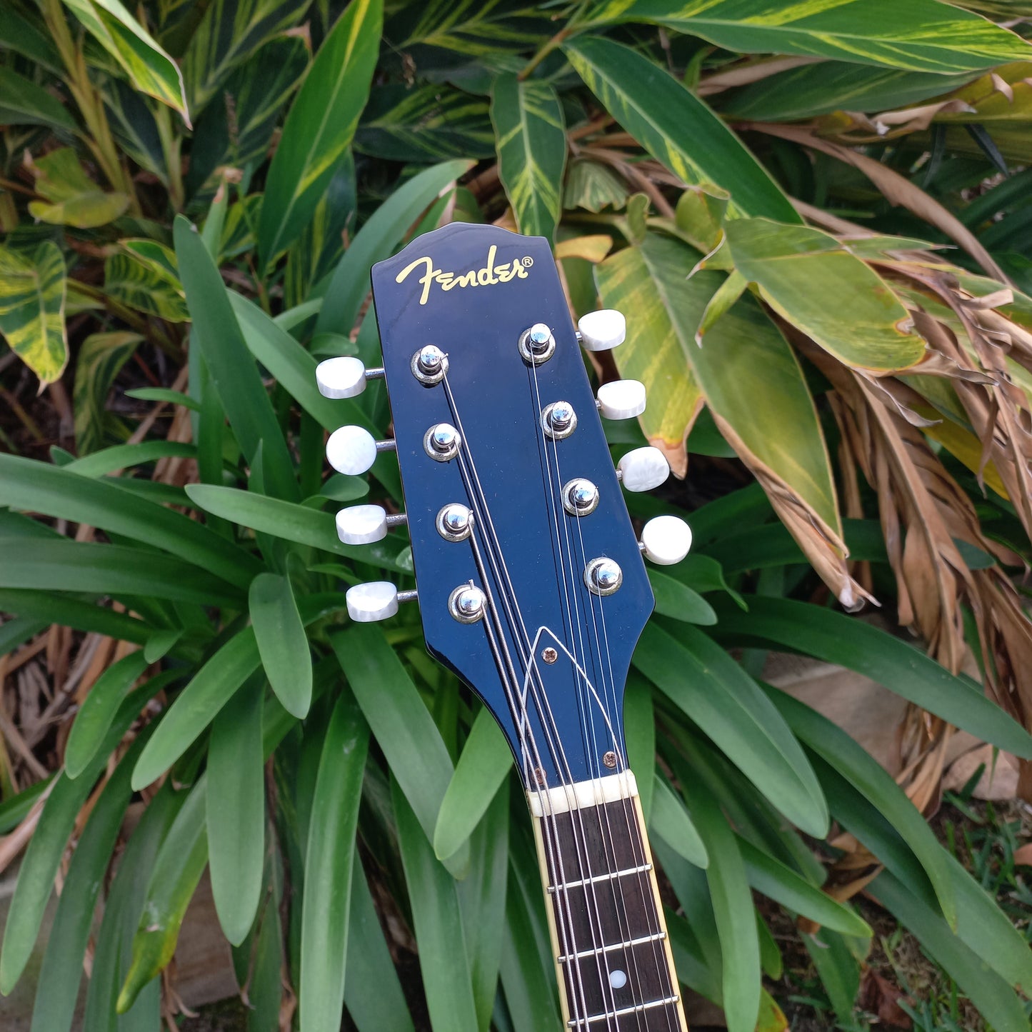 Fender FM-52E Teardrop Mandolin