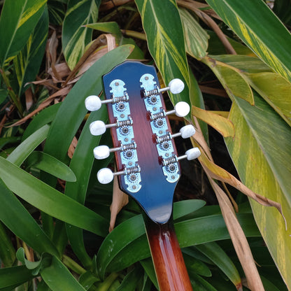 Fender FM-52E Teardrop Mandolin