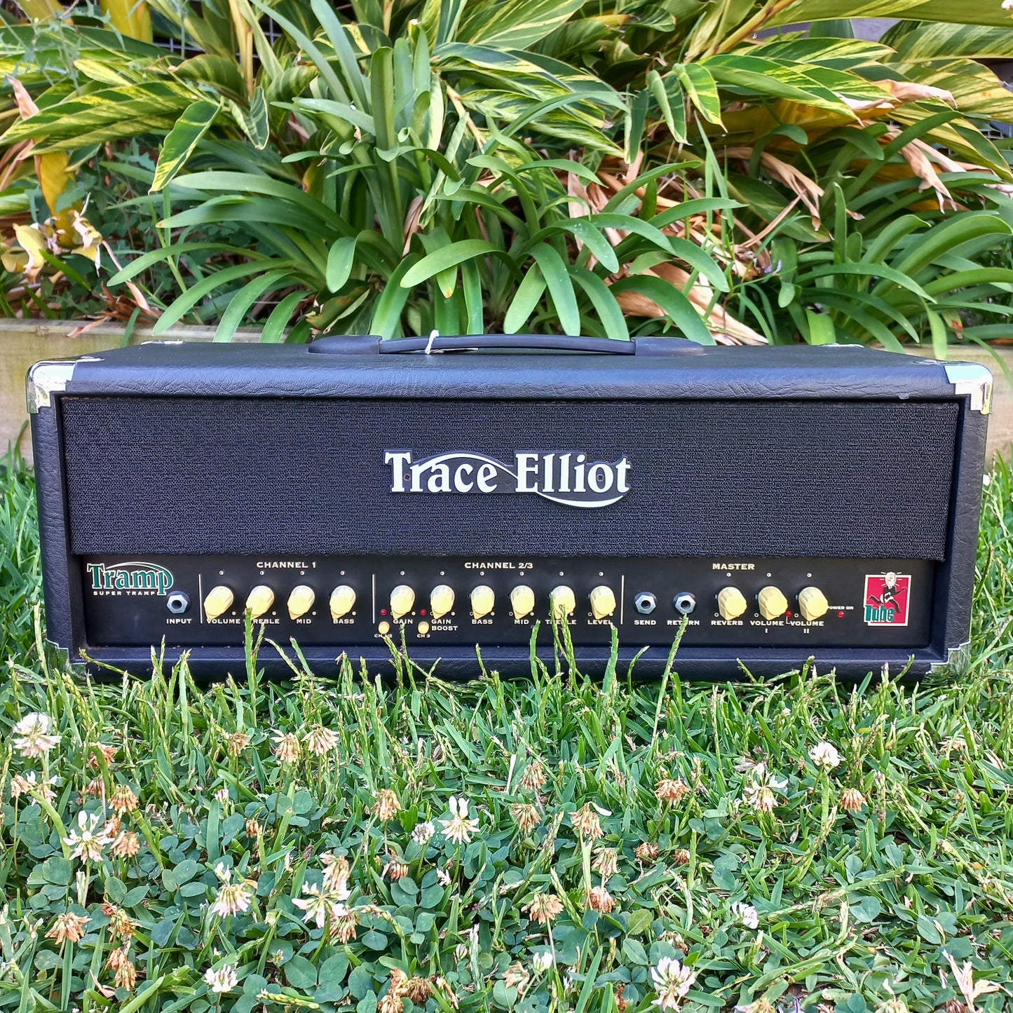 Trace Elliot Super Tramp 100W Amp Head