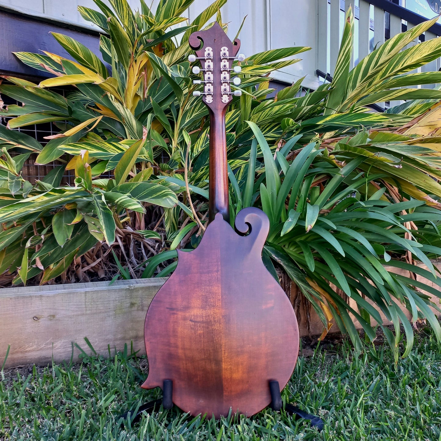 Eastman MDA315 F-Style Mandola