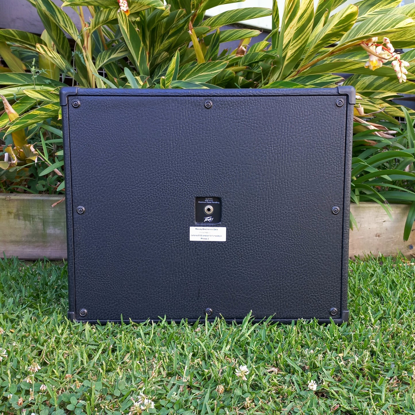 Peavey 112 Extension Cab