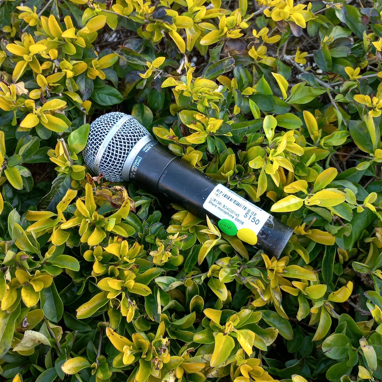 Shure SM58 Dynamic