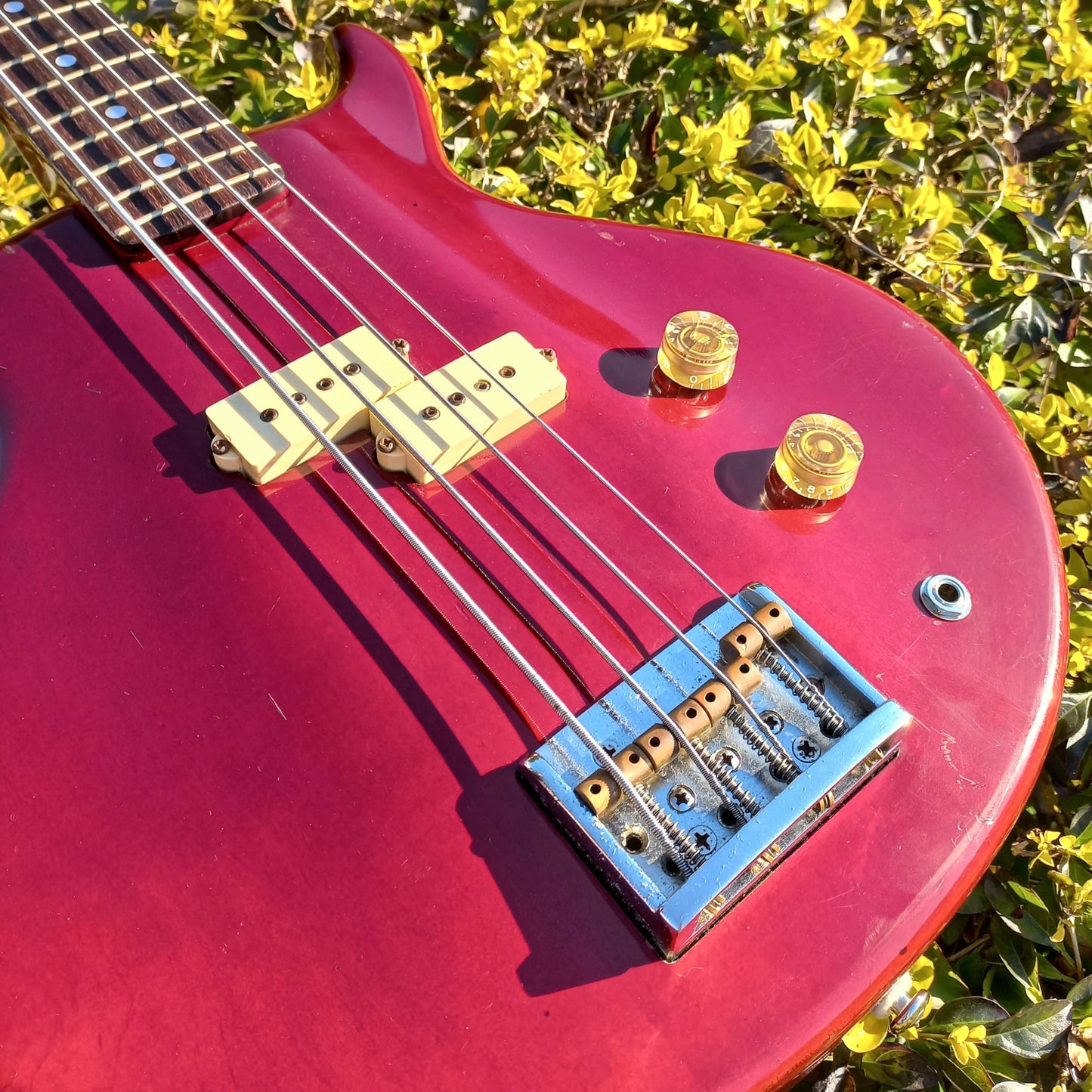 1980's Washburn Wing Series Scavenger Bass