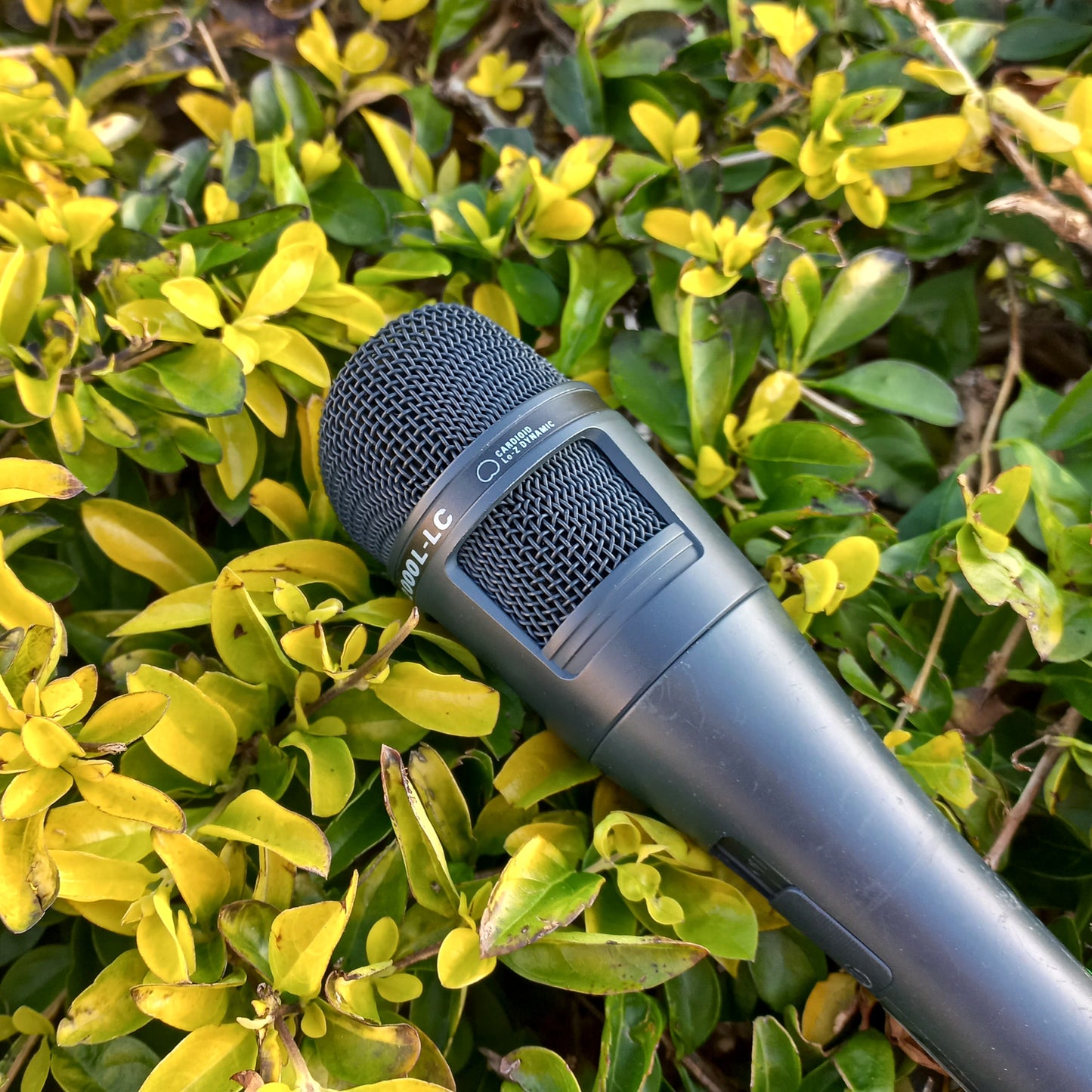 Audio-Technica MB2000L-LC Cardioid Dynamic