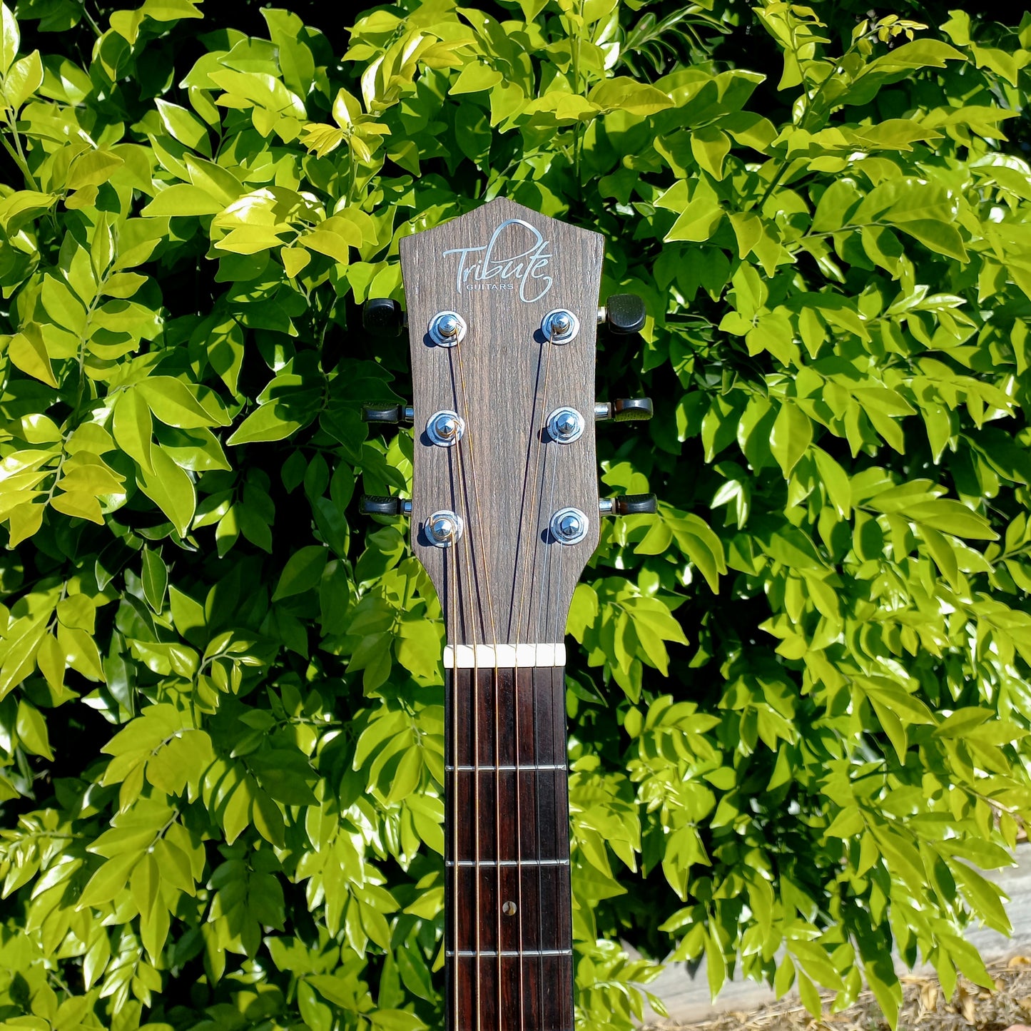 Tribute TRI-75CE Acoustic Electric