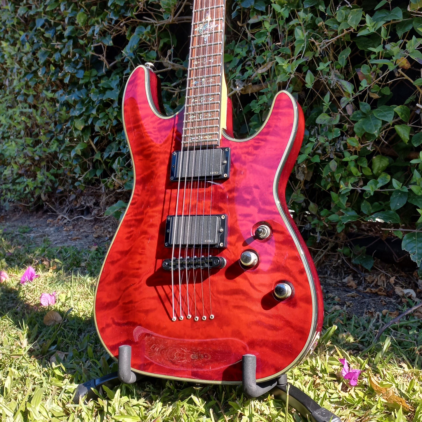 Schecter Damien Elite-6