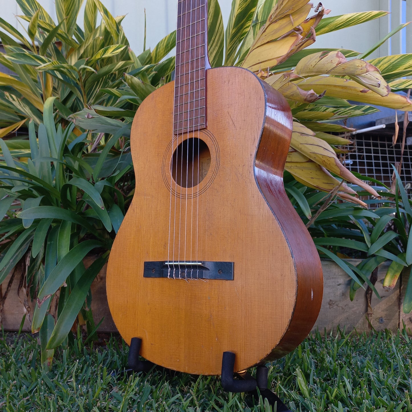 1969 Maton F10 Classical