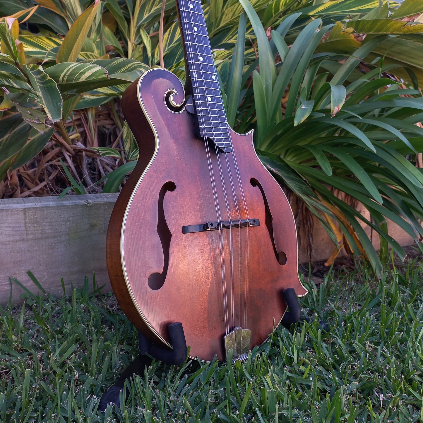 Eastman MDA315 F-Style Mandola