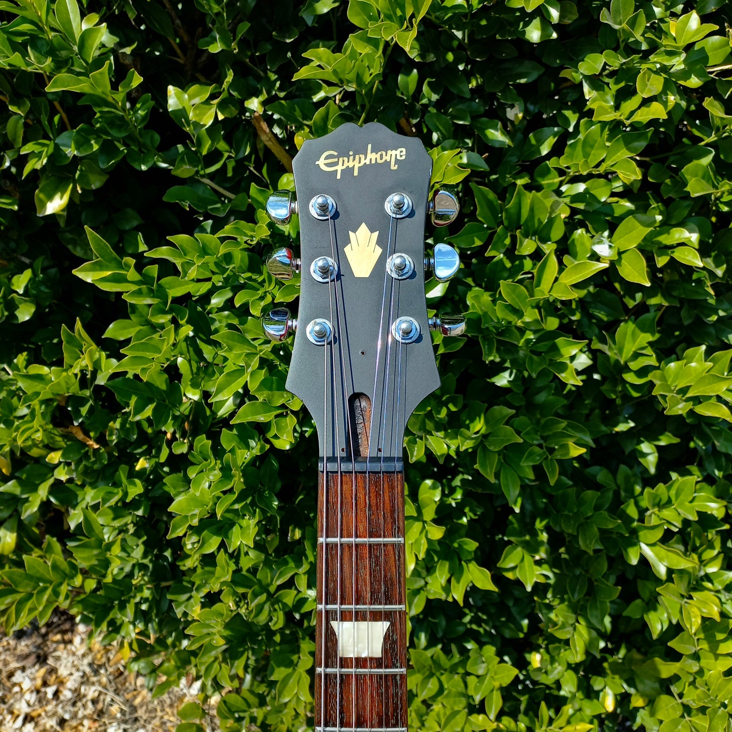 Epiphone SG G400