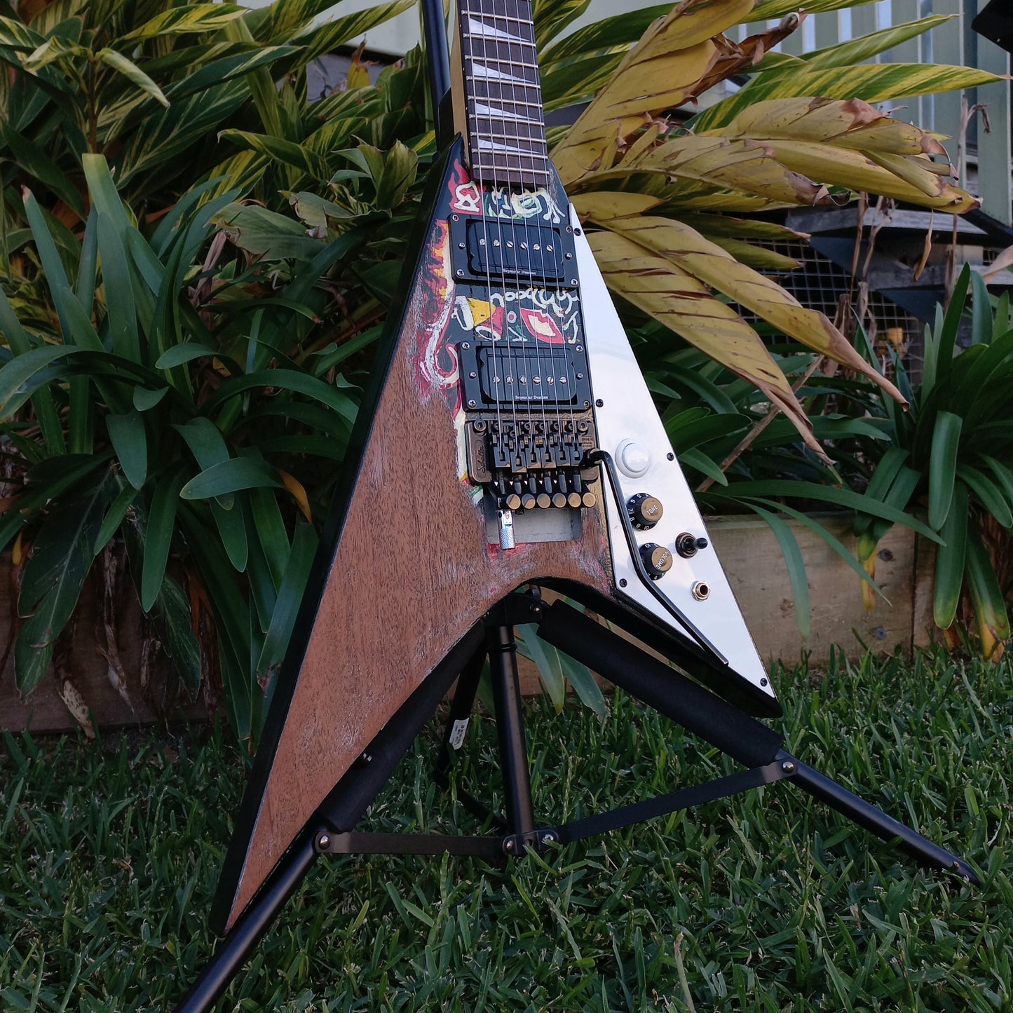 Jackson Mahogany Flying V