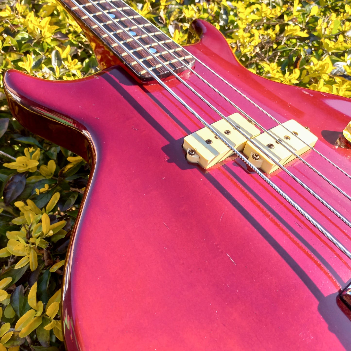 1980's Washburn Wing Series Scavenger Bass