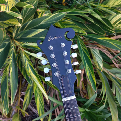 Eastman MDA315 F-Style Mandola