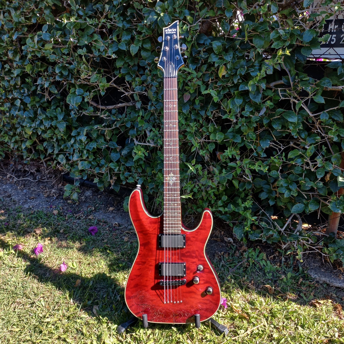 Schecter Damien Elite-6