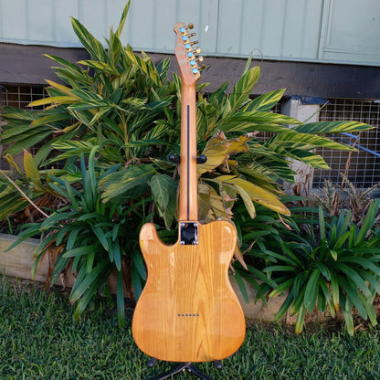 Artist TC59 Tele Style w/ Gold Painted Bullbucker Pickups