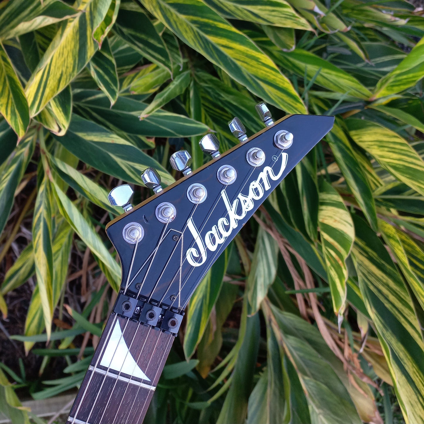 Jackson Mahogany Flying V