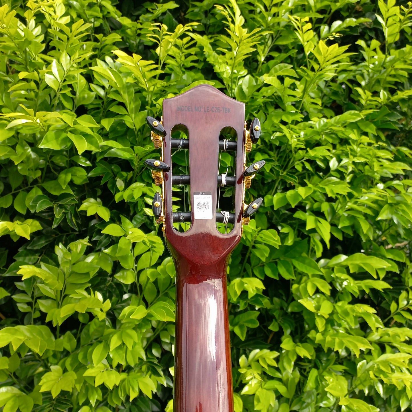 Smiger LE-C2 Silent Classical