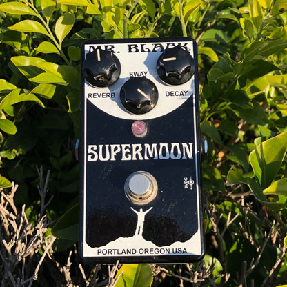 Mr. Black Supermoon Modulated Reverberator