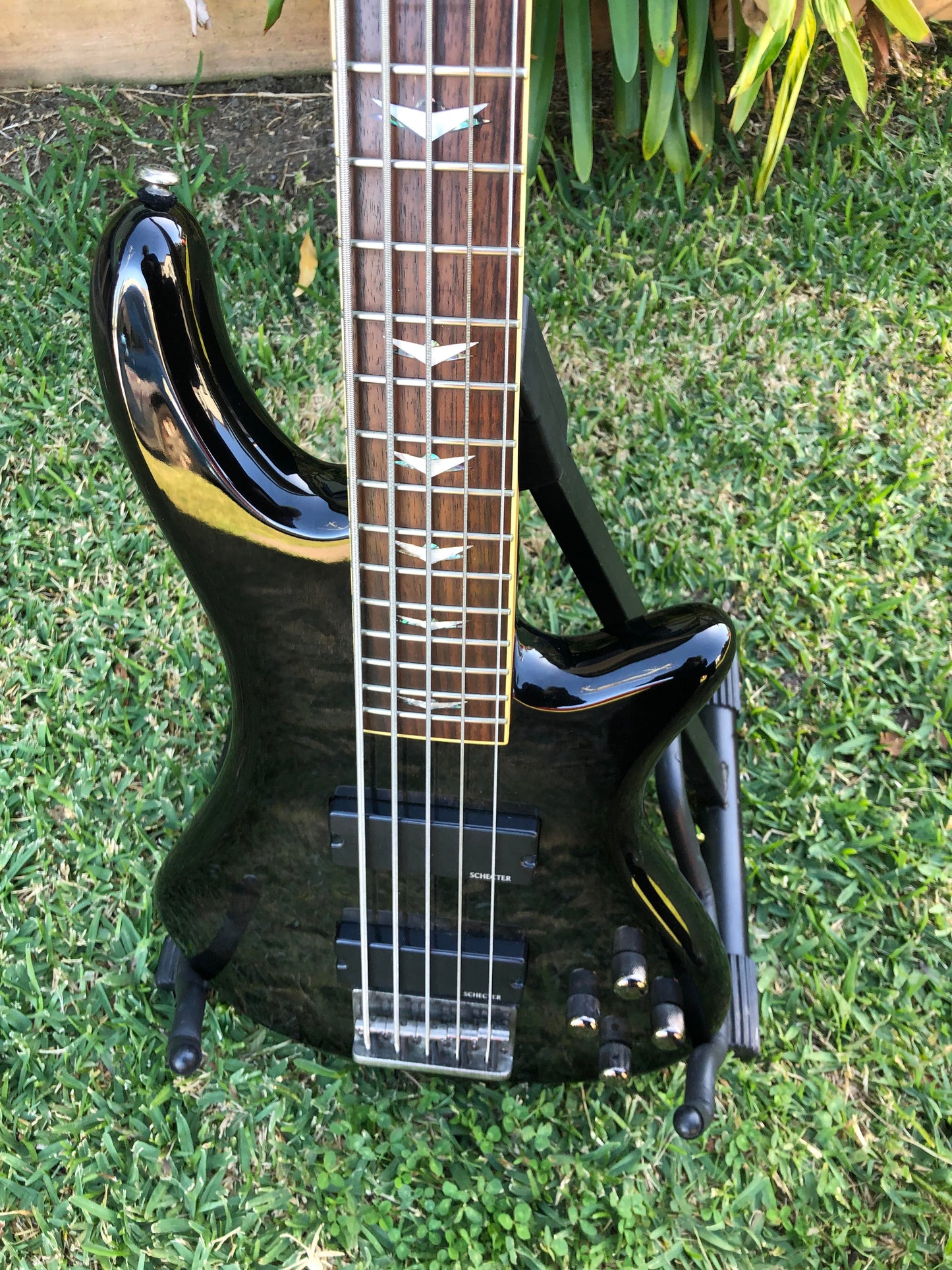 Schecter Stiletto Extreme 5 String Bass