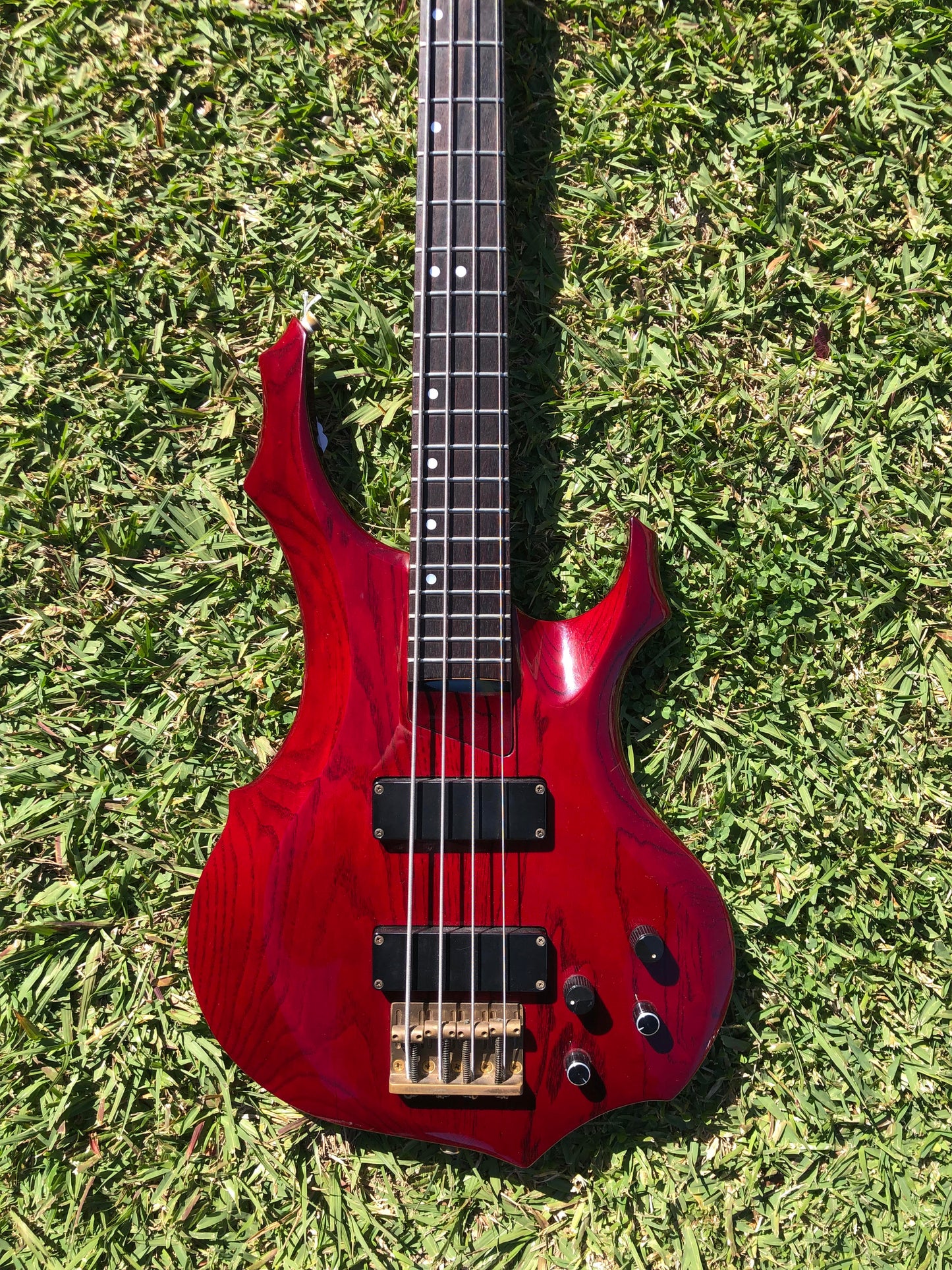 Edwards E-FR-95B