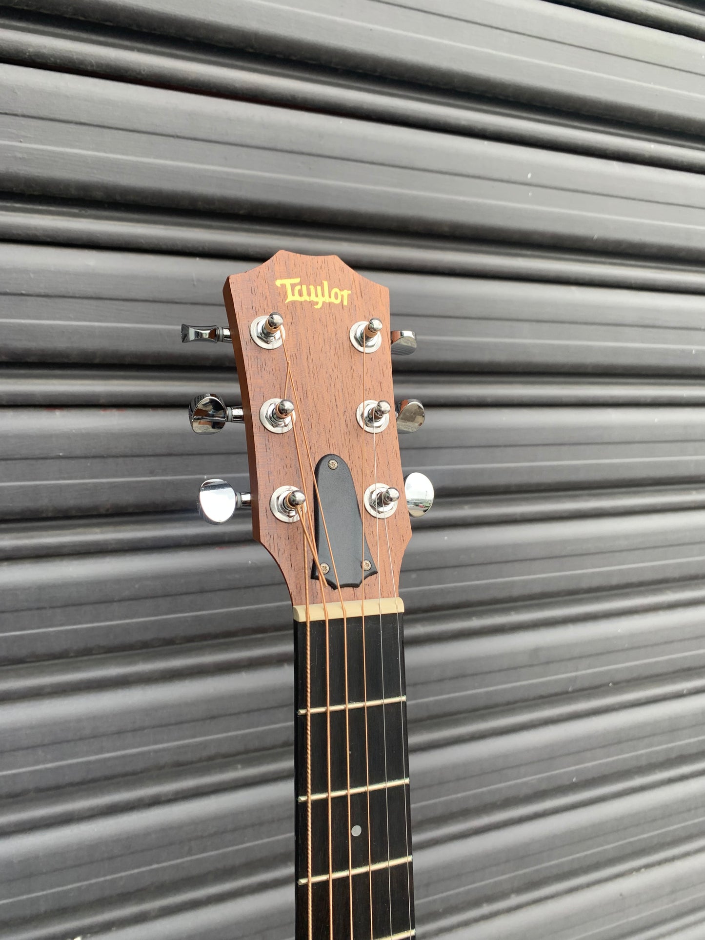 Taylor GS Mini