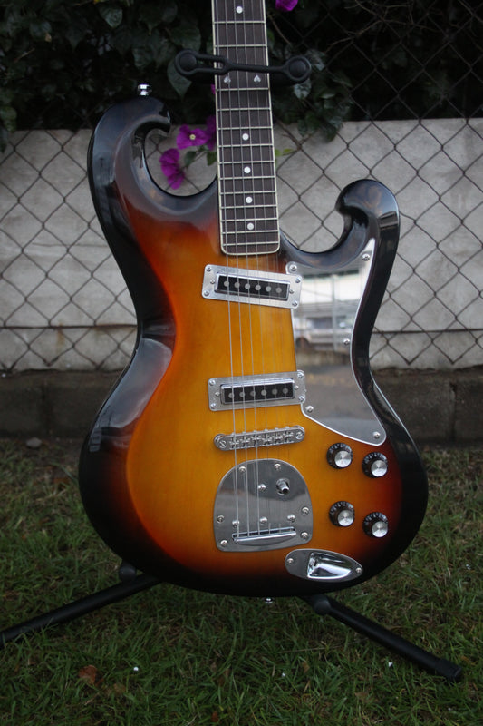 Eastwood Avalon AV-2T