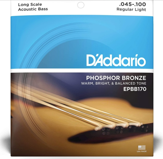D'Addario EPBB170 Phosphor Bronze Acoustic Bass Strings, Long Scale, 45-100